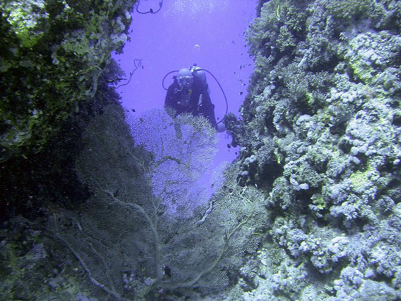 MANGROVE 07  2008 202.jpg
